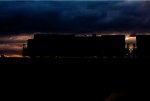 Silhouette at Rose